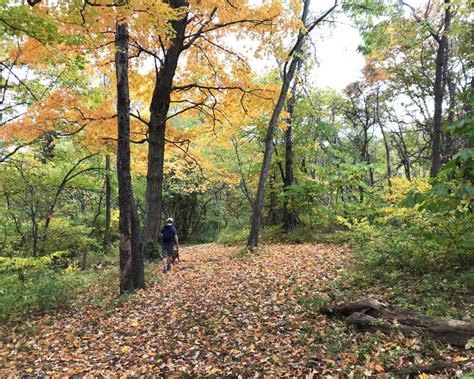 reserve ohio
