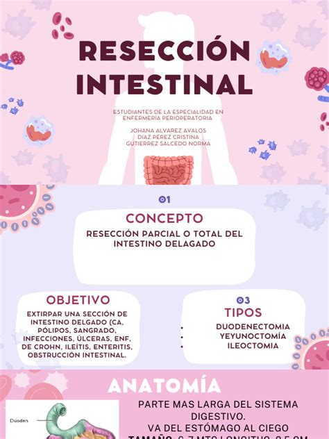 Reseteo Intestinal Gratis