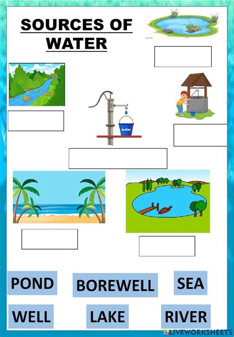 Resource Water Worksheets 99worksheets 4th Grade Water Sources Worksheet - 4th Grade Water Sources Worksheet