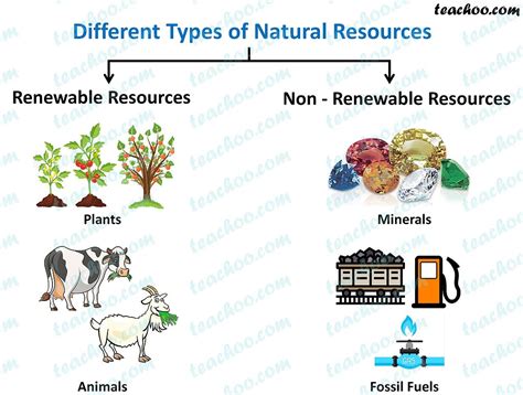 Resources And Types Of Resources Class Eight Geography 3 Types Of Resources - 3 Types Of Resources