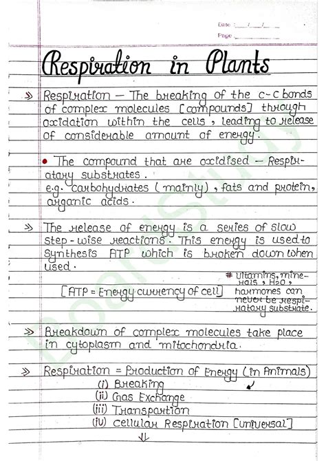 Respiration In Plants Notes