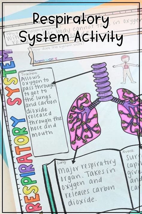 Respiratory System Activities For Elementary Students   Respiratory System Worksheets For Kids Living Life And - Respiratory System Activities For Elementary Students