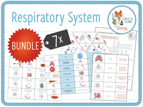 Respiratory System Games Amp Activities Study Com Respiratory System Activities For Elementary Students - Respiratory System Activities For Elementary Students