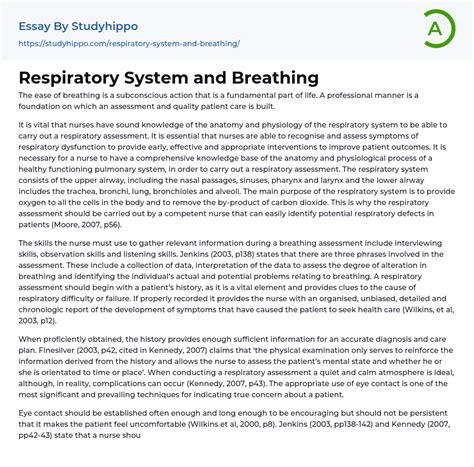 Respiratory System Mechanics Worksheet Essay Essay Example Respiratory Worksheet Answers - Respiratory Worksheet Answers