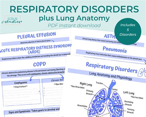 Read Online Respiratory Study Guides 