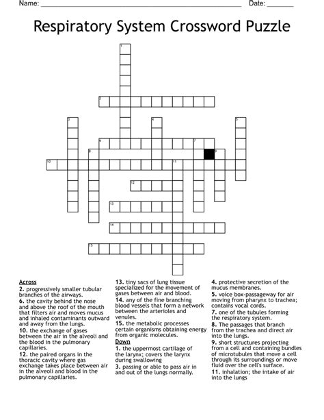 Full Download Respiratory System Crosswords Puzzle Answers 
