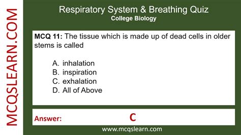 Read Respiratory Test Questions And Answers 