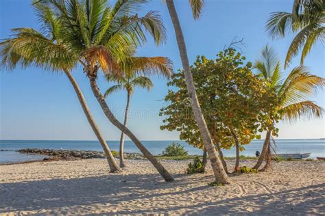rest beach florida