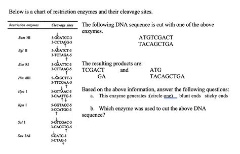 Read Online Restriction Enzyme Cleavage Of Dna Student Guide Answers 