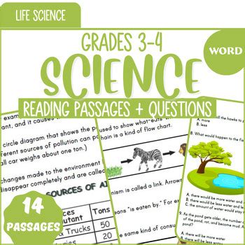 Results For Animal Instincts 4th Grade Tpt Animal Instincts Worksheet 4th Grade - Animal Instincts Worksheet 4th Grade