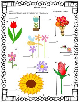 Results For Flower Measuring Tpt Flower Measurement Worksheet For Kindergarten - Flower Measurement Worksheet For Kindergarten