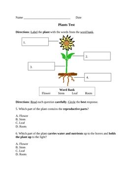Results For Fourth Grade Plants Tpt Plant Worksheet 4th Grade - Plant Worksheet 4th Grade