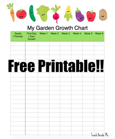 Results For Garden Tracker Tpt Garden Tracker Worksheet 2nd Grade - Garden Tracker Worksheet 2nd Grade