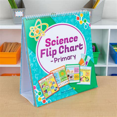 Results For Science Flip Tpt Science Flip Books - Science Flip Books