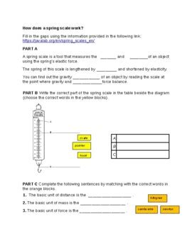 Results For Spring Scale Tpt Spring Scale Worksheet - Spring Scale Worksheet