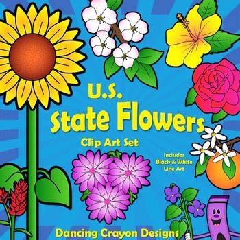 Results For State Flowers Tpt 4th Grade States Flower Worksheet - 4th Grade States Flower Worksheet