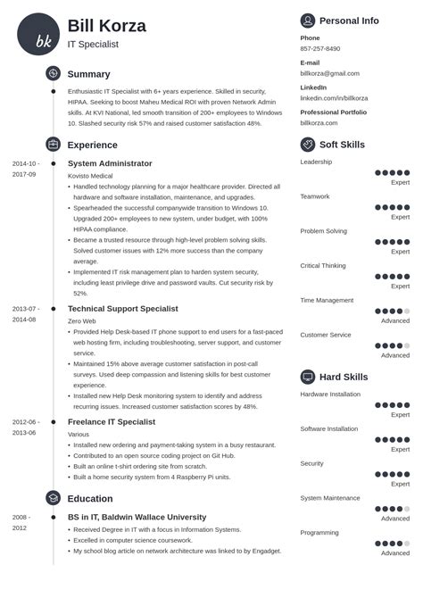 resume template professional profile examples