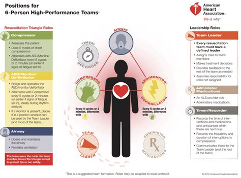Resuscitation Triangle Roles