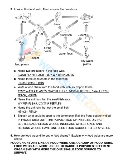 Reteaching Activities Answer Key Food For Today