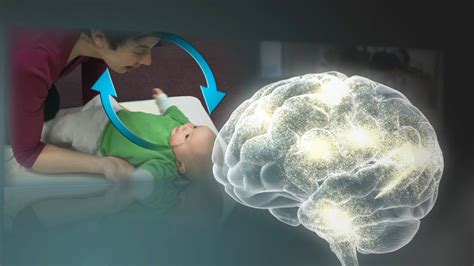 Return To The Brain Of Eden Restoring The Connection Between Neurochemistry And Consciousness Inner Traditions