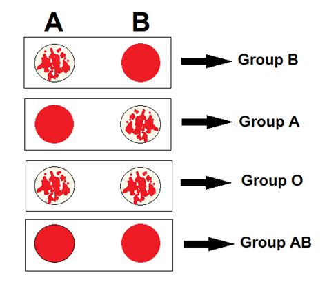 Reverse Blood Group