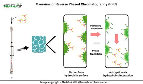 Reverse Phase Chromatography