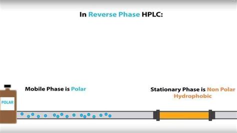 Reverse Phase Hplc