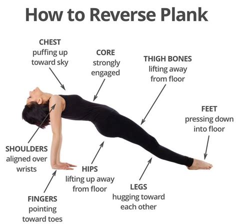 reverse plank muscles worked