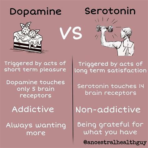 Review Dopamine Serotonin And The Translational Sciencedirect Spectrum In Science - Spectrum In Science