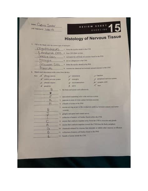 review sheet 15 study of matter answers