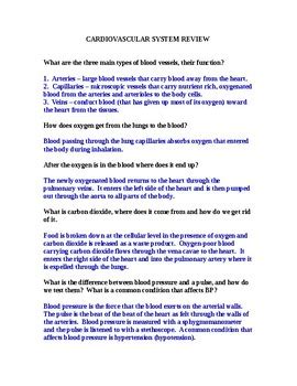 Read Review Guide Cardiovascular System Answers 