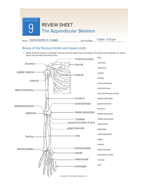Read Review Sheet Exercise 9 The Appendicular Skeleton Answers 