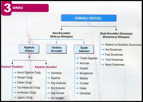 codini.rgarabwor.edu.pl. 