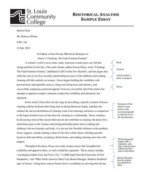 Rhetorical Analysis Example