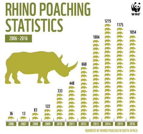 rhino poaching bar graph