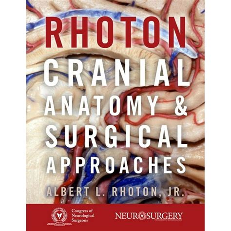 rhoton cranial anatomy and surgical approaches