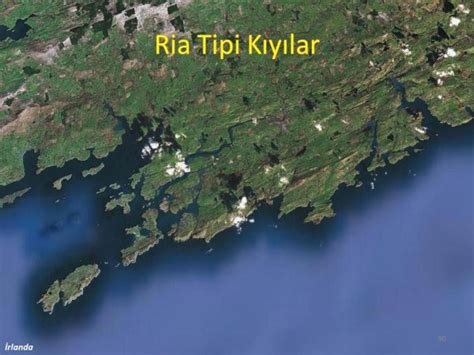 Ria Kıyı Tipi