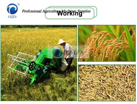 Rice Harvesting Machine