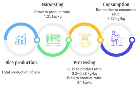 Rice Value Chain Analysis Sokoto State Nigeria Nig 244