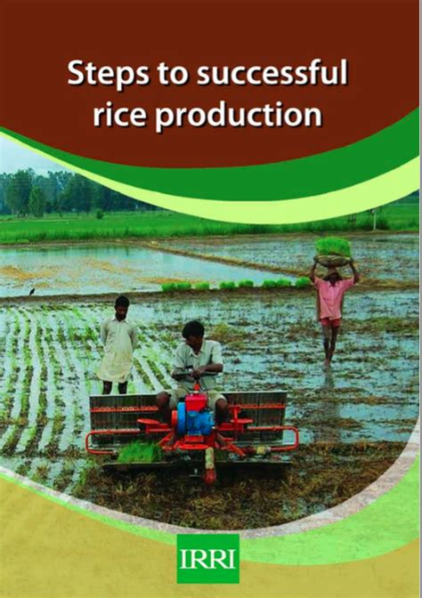 Read Online Rice Production Guide 