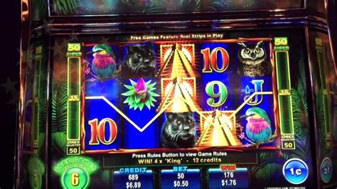 rich n wild slot machine/