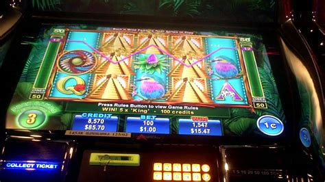 rich n wild slot machine zyny canada