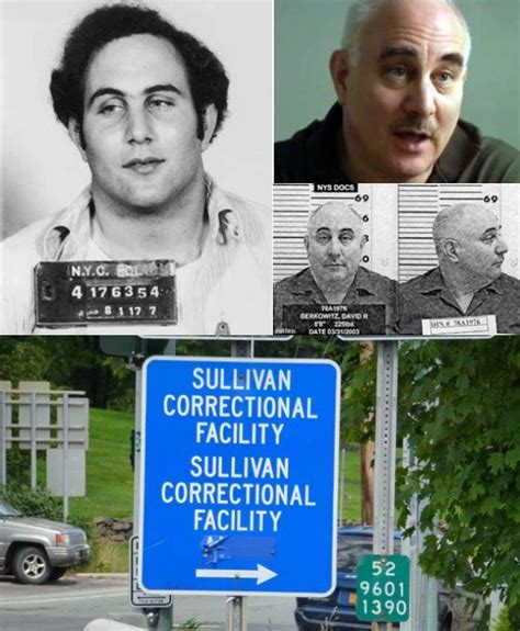 Richard David Falco