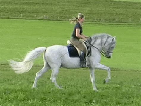 Ride horse gif