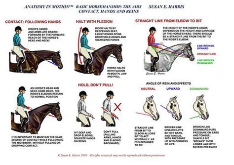 Download Riding Tips Practice Guide 