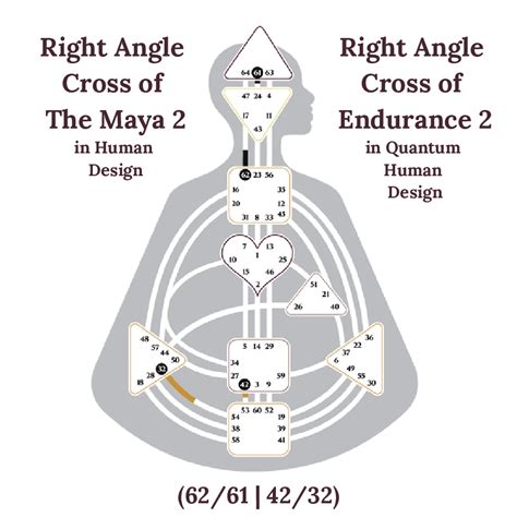 Right Angle Cross Of Maya Human Design