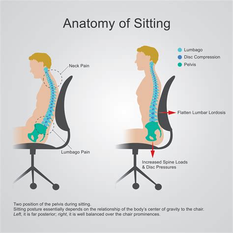 right posture to sit in office
