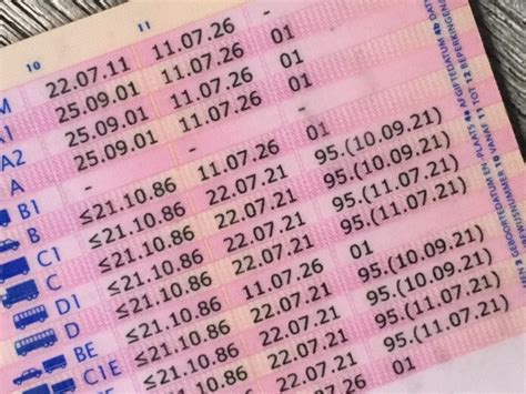 rijbewijs ce code 95