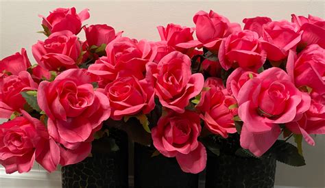 rileyjadeadams leaks