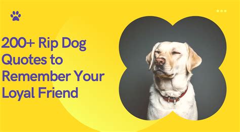 Rip Dog Quotes